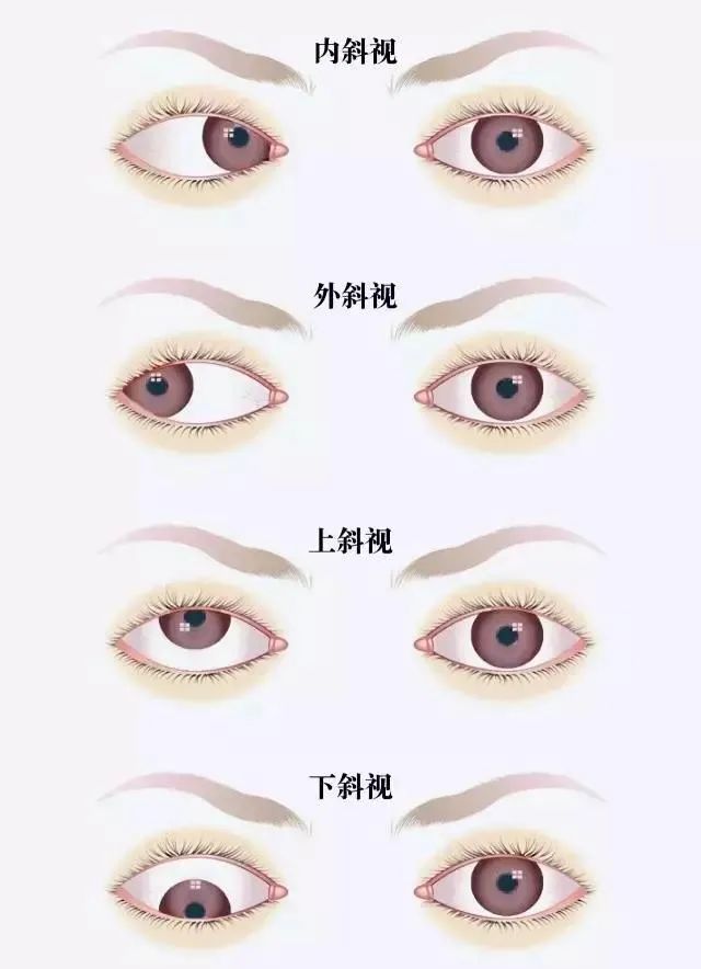 微信图片_20211119083213.jpg 微信图片_20211119083213.jpg