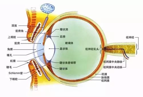 微信图片_20220225142403.jpg 微信图片_20220225142403.jpg